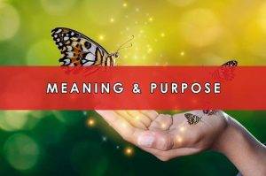 Purpose and Significance